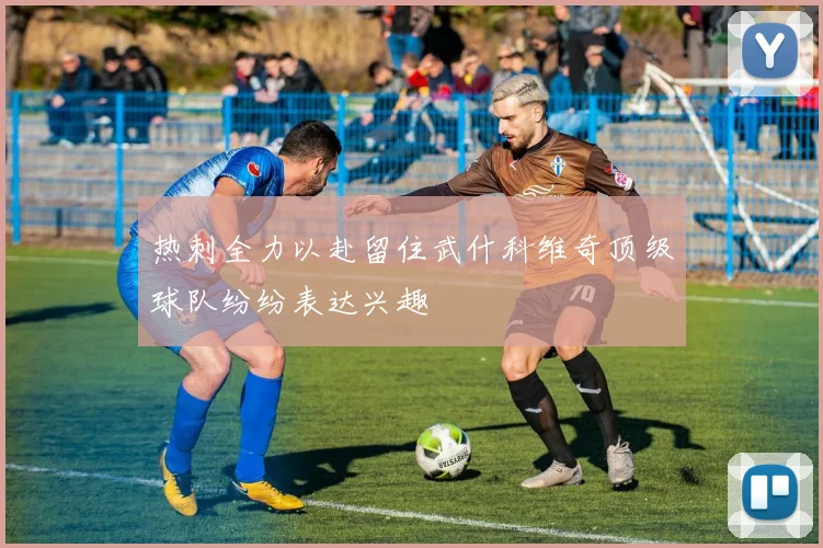热刺全力以赴留住武什科维奇顶级球队纷纷表达兴趣